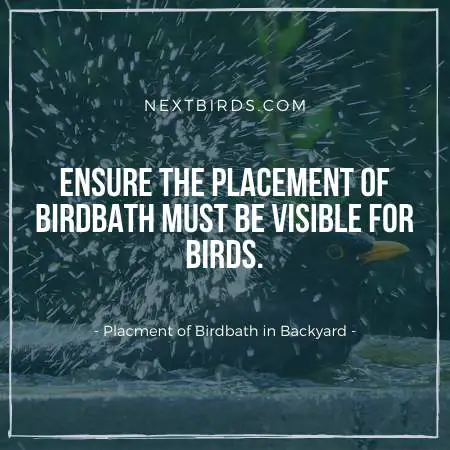 Birdbath must be visible for birds
