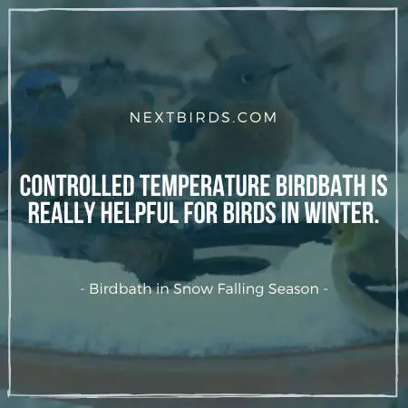 Temperature control for birdbath is an important factor.