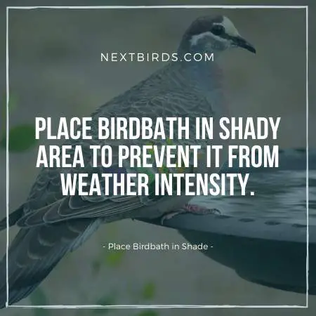 Place Birdbath in shade to attract birds