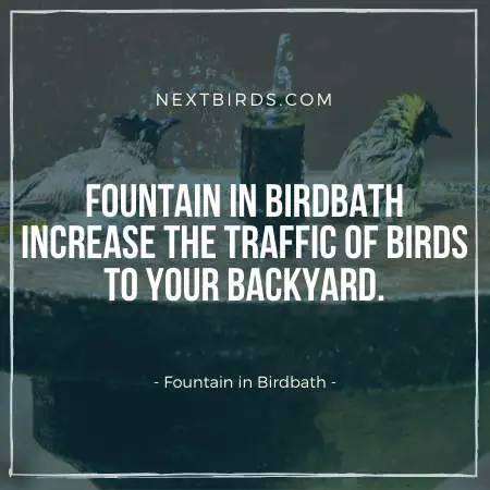 Fountain in a Bird Bath is solution to Stagnant water