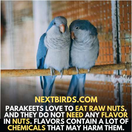 Parakeets love to eat raw nuts