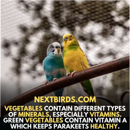 Vegetables contain different types of vitamins and minerals